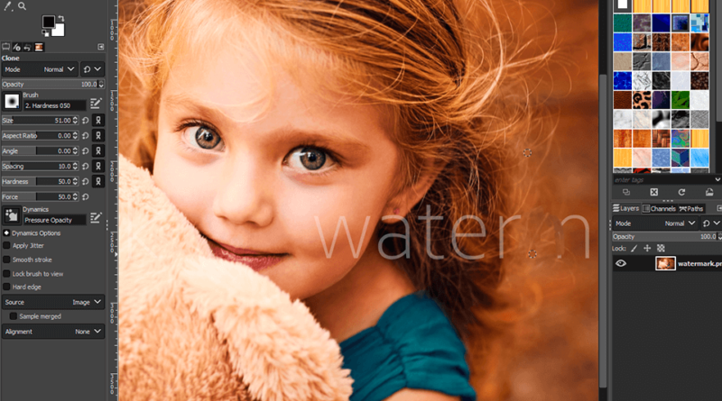 The Pros and Cons of Using Watermark Removal Software: Is it Worth it?