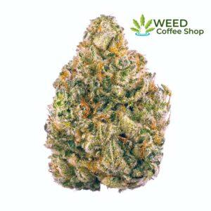 Who Can Benefit from Shopping at an Online Weed Shop in Europe