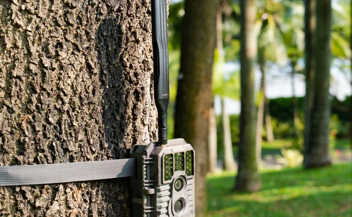 Exploring the Benefits of WiFi Trail Cameras