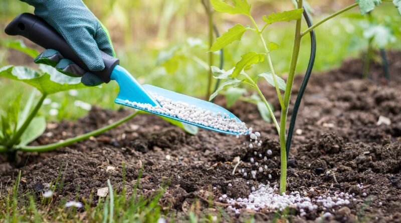 Essential Tips for Properly Watering Your Garden