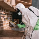 5 Signs You Need Pest Control in Mississauga Today