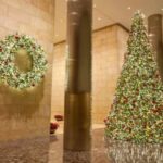 A Complete Guide to Selecting Outdoor Christmas Light Decorations for Your House