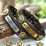 Best Dog Accessories Business Opportunities for Entrepreneurs