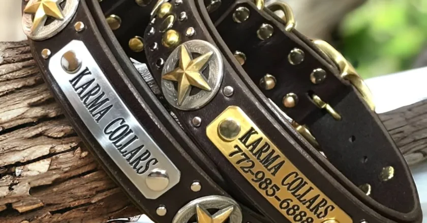 Best Dog Accessories Business Opportunities for Entrepreneurs