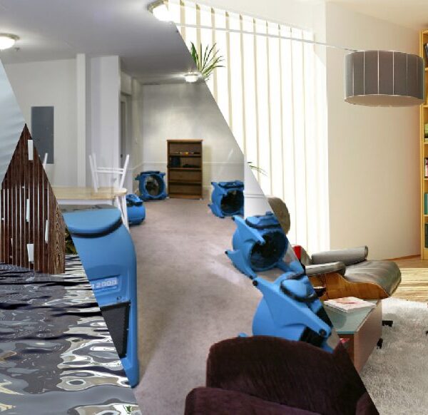 Water Damage Restoration Hidden Dangers You Should Never Ignore