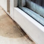 Essential Tips for Homeowners: Managing Water Damage in Your Basement