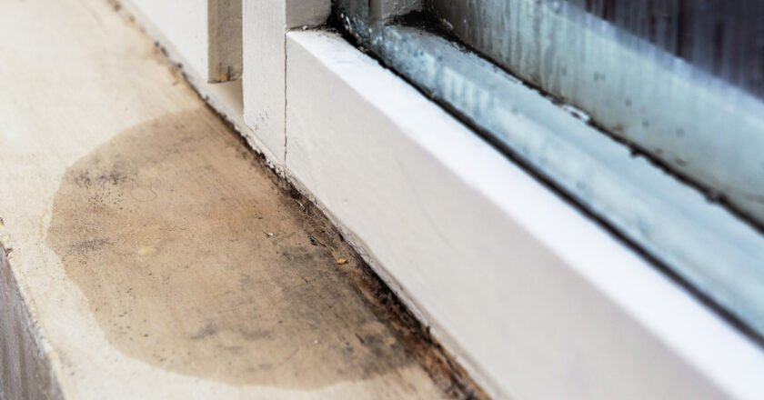 Essential Tips for Homeowners: Managing Water Damage in Your Basement