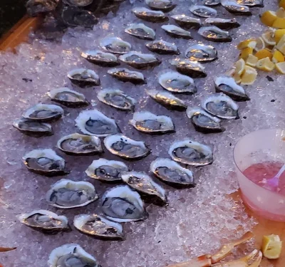 A Seafood Lover’s Guide to Oyster Catering in New York