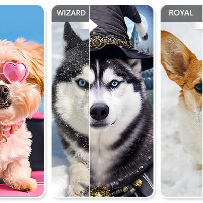 From Ordinary to Extraordinary: The Magic of AI Pet Photo Apps