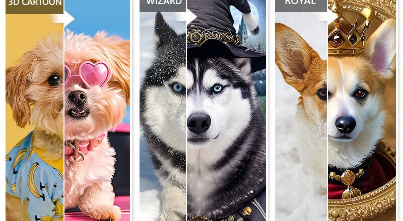 From Ordinary to Extraordinary: The Magic of AI Pet Photo Apps