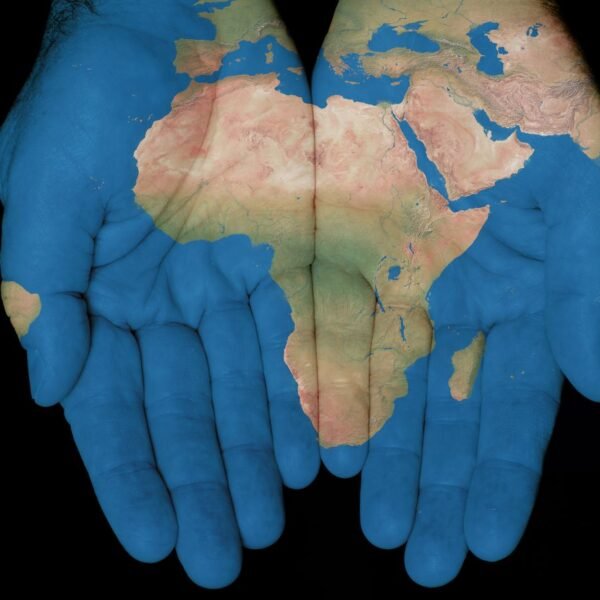 The Rise of Entrepreneurship: Business Opportunities in Africa’s Growing Economy