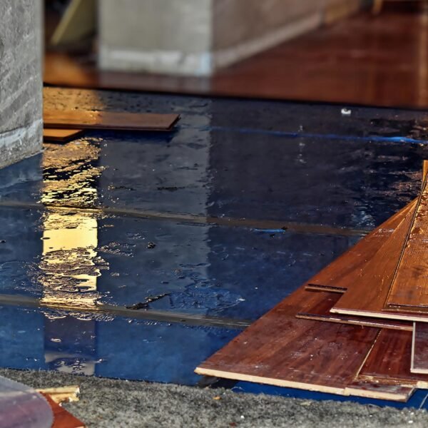 Common Causes of Water Damage in Castle Rock and How to Address Them