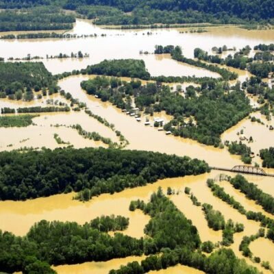 Comprehensive Nashville Flood Restoration: Services That Bring Your Home Back