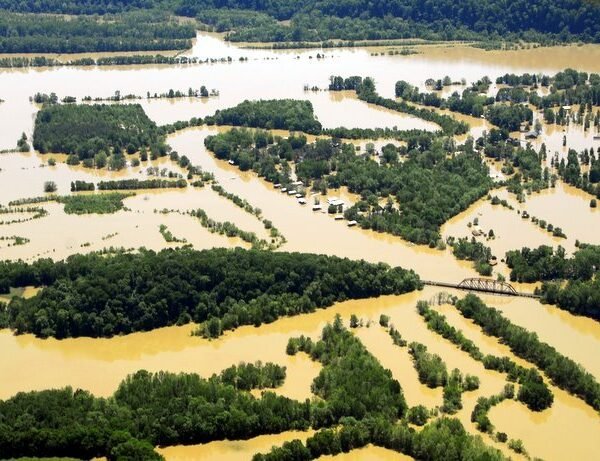 Comprehensive Nashville Flood Restoration: Services That Bring Your Home Back