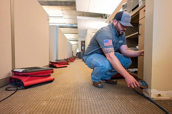 Top Tools and Tips for Efficient Water Damage Cleanup