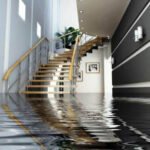 Disaster Clean Up Company: Why Immediate Response Saves Your Property
