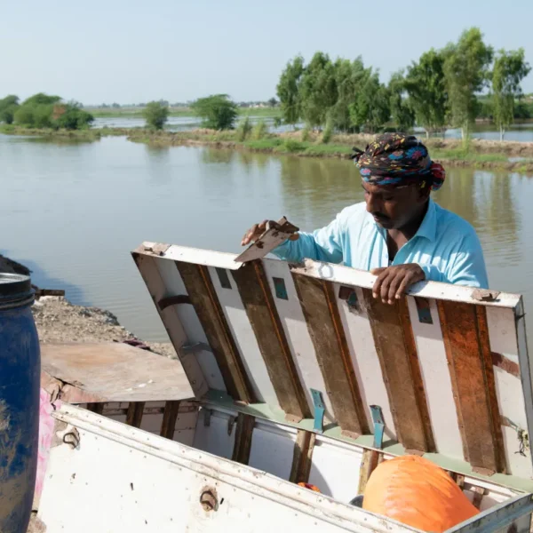 Emergency Flood Contractors in Fishers: What to Expect