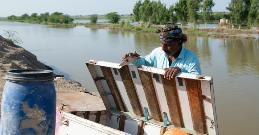 Emergency Flood Contractors in Fishers: What to Expect