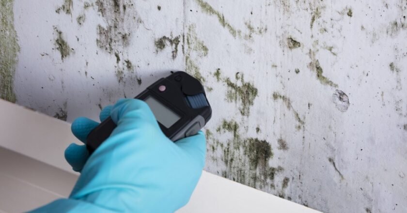 Affordable Mold Clean Up Services for Every Homeowner