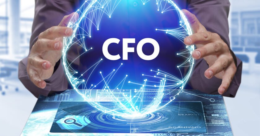 Why Every Startup Needs a Solution Like Fractional CFO Portal