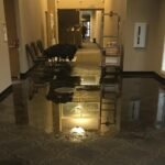 The Ultimate Guide to Handling Water Damage at Home