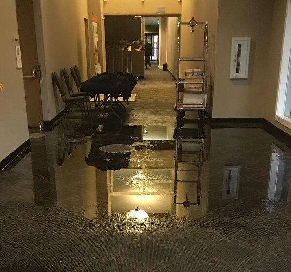 The Ultimate Guide to Handling Water Damage at Home