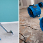 Top Tips from San Diego Mold Remediation Pros for a Healthy Home