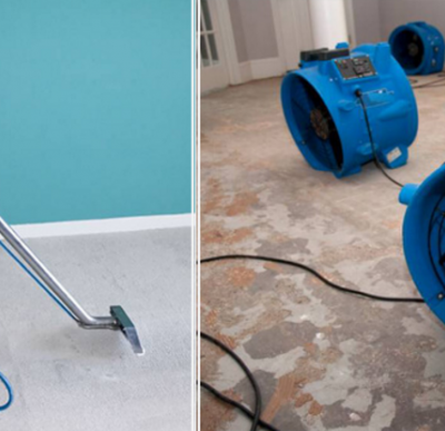 Top Tips from San Diego Mold Remediation Pros for a Healthy Home