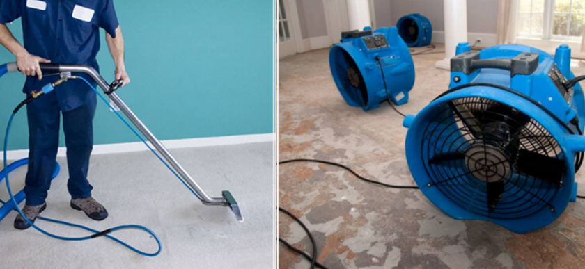 Top Tips from San Diego Mold Remediation Pros for a Healthy Home