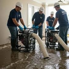 How a Water Extraction Company Saves Your Home from Damage