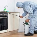 Why pestcontrolnearme.pro is Becoming a Go-To Platform for Fast Pest Solutions