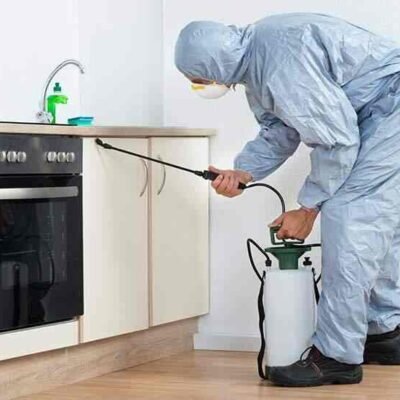 Why pestcontrolnearme.pro is Becoming a Go-To Platform for Fast Pest Solutions