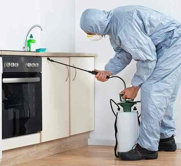 Why pestcontrolnearme.pro is Becoming a Go-To Platform for Fast Pest Solutions