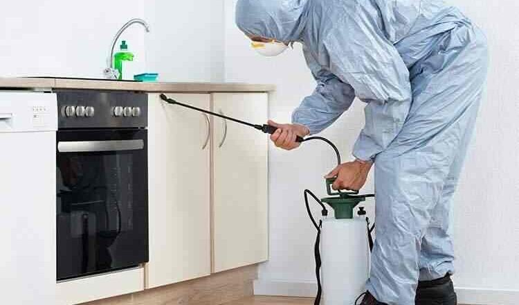 Why pestcontrolnearme.pro is Becoming a Go-To Platform for Fast Pest Solutions