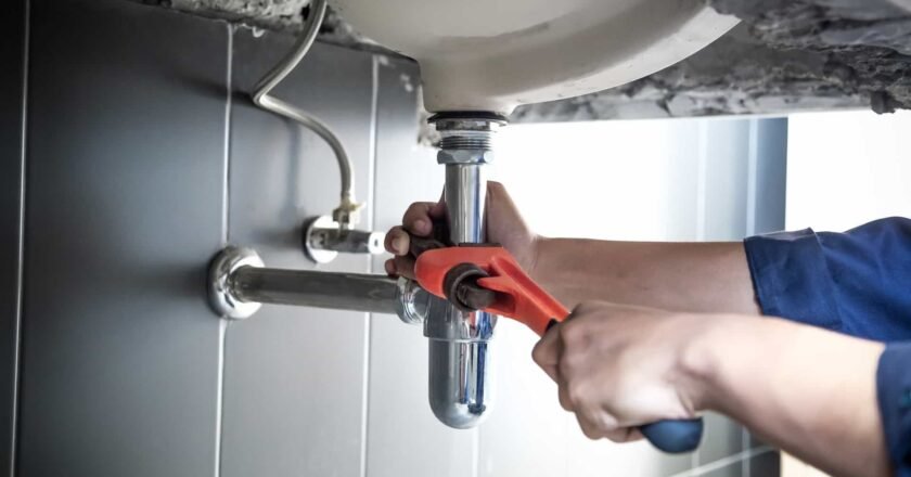 How a Professional Plumber Phoenix Can Handle Common Plumbing Challenges