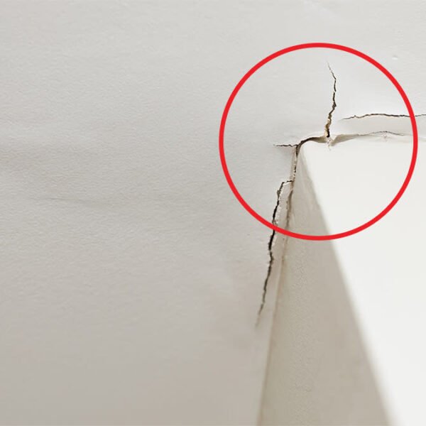 Basement Flood Restoration Solutions: Protecting Your Home from Long-Term Water Problems