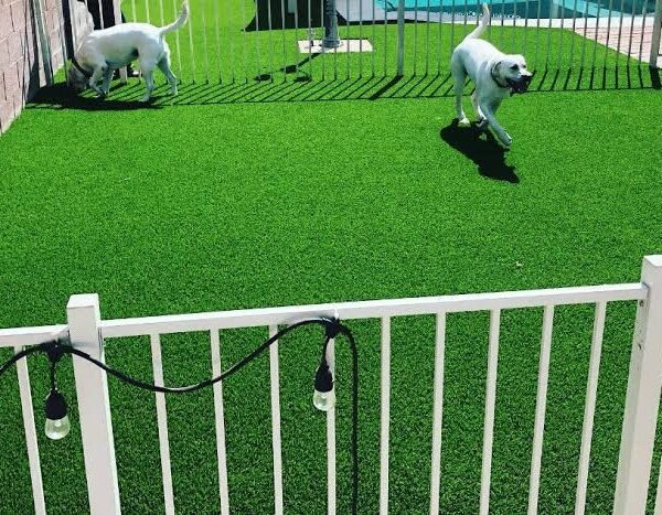 Artificial Turf Installation Peoria AZ: A Practical Guide for Beautiful, Low-Maintenance Lawns