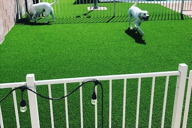 Artificial Turf Installation Peoria AZ: A Practical Guide for Beautiful, Low-Maintenance Lawns
