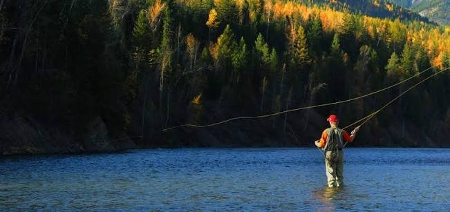 Understanding the Art and Skill of Fly Fishing