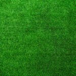 What Is Astroturfing and How Can You Recognize It?